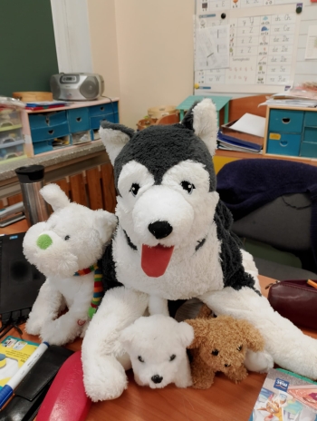 WhatsApp Image 2025-02-03 at 15.56.52.jpeg