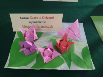 IMG_20251031_091714322