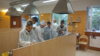 73370710_405137993497851_6313497737803333632_n