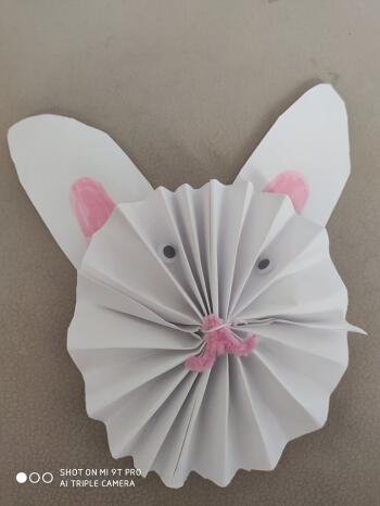 96411133_166539701399078_7906970242872508416_n