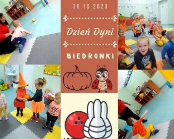 Dzien dyni Biedronki