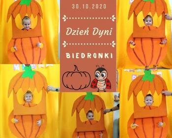 Dzien Dyni Biedronki (4)