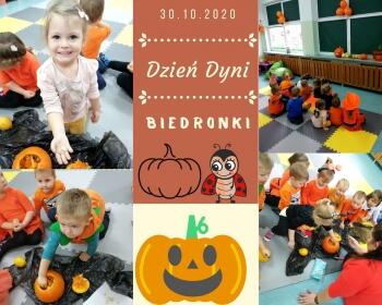 Dzien Dyni Biedronki (3)