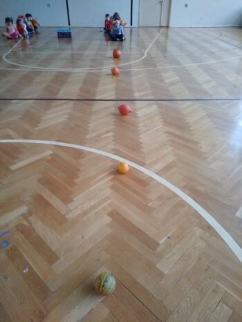 123137545_391127735593461_2817893065174122568_n