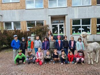 188736916_4130721093709537_6379994791882436516_n