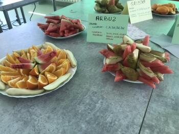 345887026_201328212792245_7234448718823007392_n