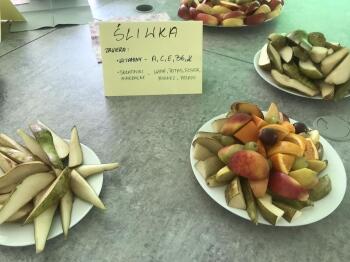 345885148_1052486809468420_7078569403872733943_n