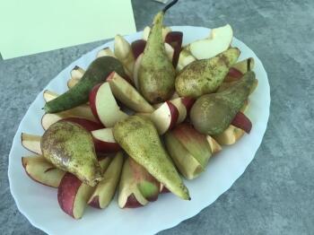 345877075_239182705391098_5816098949605364836_n