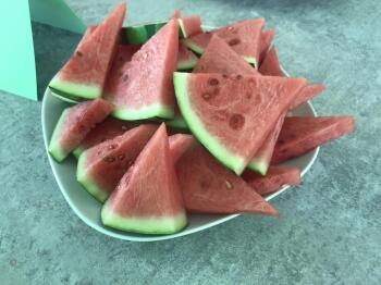 345891081_583396450279991_5719806612898426116_n