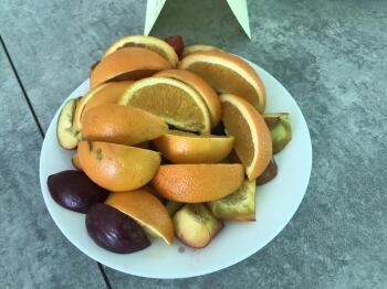 345878068_1351109612113510_7137447670504577634_n