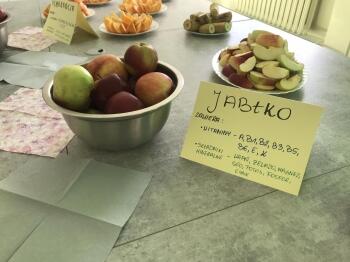 345885136_193359180271637_201531292052525270_n