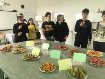 345905767_766608005169454_9141515789289998351_n