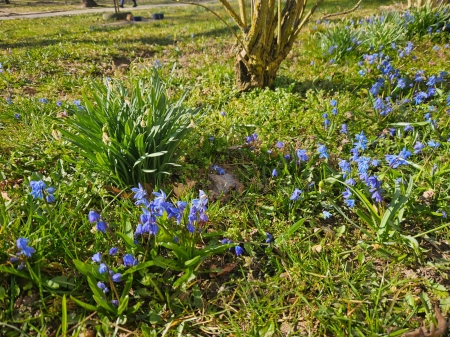 Pierwszy Dzień Wiosny