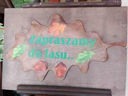 Zapraszamy do lasu  Wycieczka do Klinisk Wielkich
