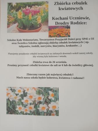Zbiórka cebulek kwiatowych