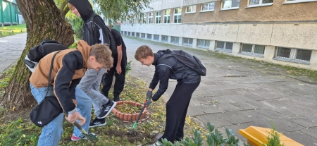 Akcja sadzenia cebulek kwiatowych