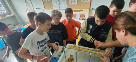 Pasieka Między Stawami w SP45