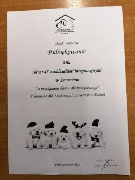 Świąteczna akcja pomocy potrzebującym bezdomnym zwierzętom.